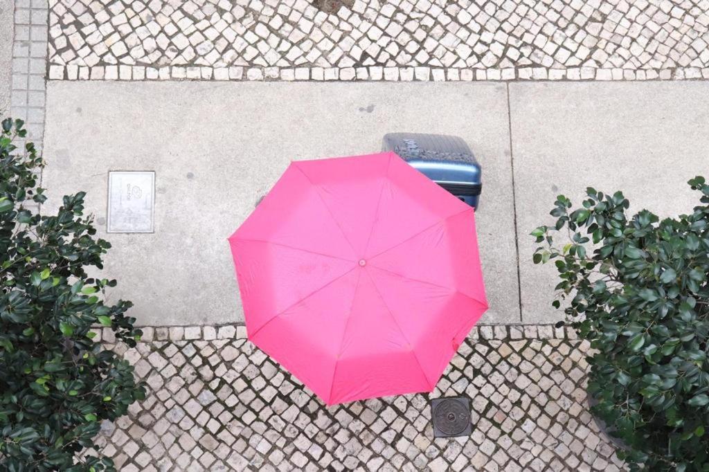 Lisbon Dreams Estrela Top Suites エクステリア 写真